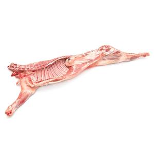 Proveedor Mayorista de Carcasa de Oveja para Exportación a Granel, Carne de Oveja Entera de Alta Pureza para Cadenas de Minoristas, Servicios de Alimentos y Comerciantes - Product Image 1