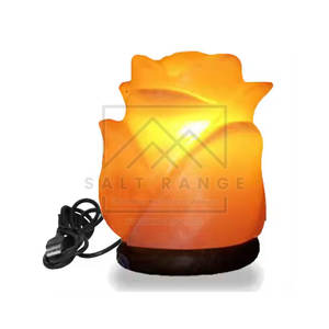 Lámpara de Sal del Himalaya 100% Pura, Tallada a Mano en Forma de Flor, de Alta Calidad, Tacto Real, Decoración para el Hogar, Mejor Precio, Nuevo en Existencia - Product Image 2