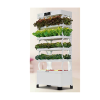 Système hydroponique à mini-tour verticale intérieure intelligente Pots de fleurs et jardinières à LED pour la maison et le jardin