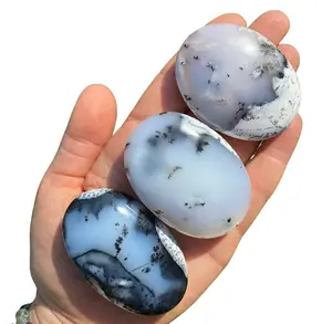 Pietra di palma opale dendritico naturale pietre naturali artigianato di cristallo fata Reiki rocce minerali giada Feng Shui pietra preziosa pietra di palma