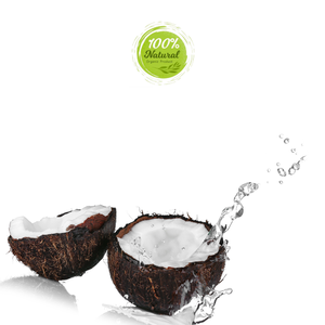 Produits agricoles Noix de coco séchée rehaussant la saveur des soupes au lait de coco réfrigérées - Product Image 5