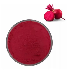 Polvo de raíz de remolacha de alta calidad Extracto orgánico a granel OEM ODM Suministro de fábrica Proveedor de ingredientes superalimentos Naturales de La India - Product Image 1