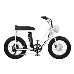 Bicicletta elettrica stile retrò per viaggi Unimoke SW bianco di stile urbano fatbike Made in Taiwan pedelec