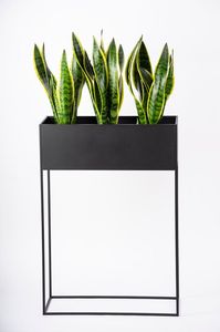 Macetas decorativas grandes para exteriores de alta calidad, bonita fabricación india para el hogar y el jardín, gran demanda - Product Image 4