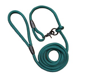 Handmade Green <b>Dog</b> <b>Leash</b> for Daily Walk New Gift for Your <b>Dog</b> - Product Image 1