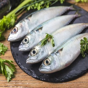 Pescado caballa congelado, pescado de caballa de calidad IQF limpio entero, Exportación a granel a precio de mercado asequible - Product Image 2