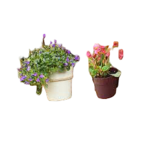 Cubos para macetas de pared, macetas en hierro galvanizado, juego de dos macetas de pared para dormitorio, plantas de interior, decoración de pared, flujo montado - Product Image 4