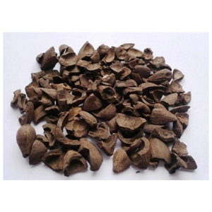 Cáscara de coco de cáscara de almendra de palma pura 100% a precio competitivo Cáscara de trigo sarraceno a granel Alforfón sin hojas para la venta - Product Image 2