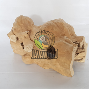 Maisons et bacs à écorce en bois massif de haute qualité Taille parfaite XL pour reptiles et petits animaux d'Indonésie - Product Image 5