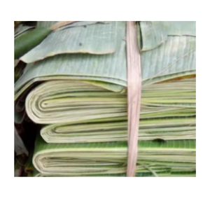 ใบกล้วยแช่แข็งคุณภาพส่งออกปลอดภัยและยืดหยุ่นสำหรับเค้กข้าวสวยและขนมขบเคี้ยว - Product Image 5