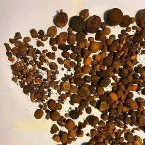 Prix d'usine pour les calculs biliaires de bœuf fournis en vrac pour la vente au détail et la vente - Product Image 1