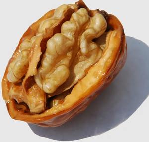 Noix de Grenoble séchées certifiées biologiques, approvisionnement en vrac, exportation, qualité brute de qualité A, décortiquées et non décortiquées, pour la vente au détail et l'industrie alimentaire - Product Image 2