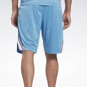 Pantalones cortos de malla transpirable de secado rápido Venta caliente Pantalones cortos de malla de calidad superior a la venta en venta al por mayor - Product Image 3