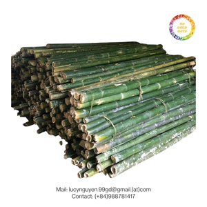 Wholesale Eco Friendly Bamboo <b>Poles</b>, Straight, Clean, Sun-Dried, Custom Lengths Available, Ideal <b>for</b> Home Decor - Product Image 4