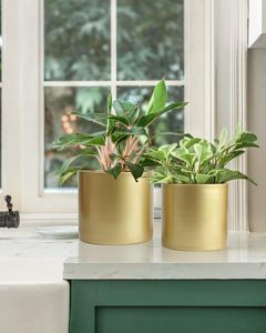 Lot de 2 pots de fleurs et jardinières ronds d'intérieur en métal doré pour l'entretien des plantes de jardin - Product Image 6
