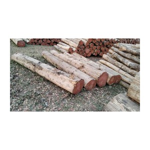 Bûches carrées fournies en grande quantité pour les revêtements de sol et les applications décoratives - Product Image 2