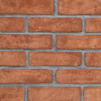 Briques d'argile naturelle de qualité supérieure pour façades extérieures et intérieures solides à haute porosité excellentes pour les briques réfractaires