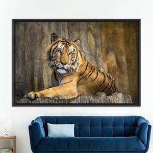 Décoration murale élégante avec motif de grand chat : toile imprimée sur verre trempé, toile encadrée noire - Product Image 1