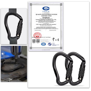 Kait Carabiner lampu penguncian datar bentuk telinga 23kn kustom Carabiner memanjat karabiner aluminium - Product Image 3