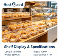Emballage de vente au détail personnalisé en blister pour Puff Mochi, plateau alimentaire en blister transparent PET pour boulangerie, snack, supermarché