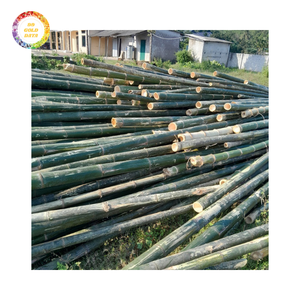 Poteau en bambou économique pour treillis, aménagement paysager et fabrication artisanale avec une qualité constante et des performances solides - Product Image 4