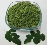 Minyak Ekstrak Herbal Daun Moringa Oleifera Organik, Dikeringkan dengan Udara Panas dalam Wadah Plastik, Kualitas Makanan Sehat