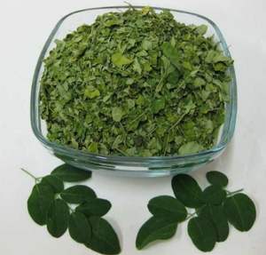 Hojas de Moringa Oleifera - Product Image 2