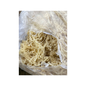 Algas marinas orgánicas de algodón vietnamita ricas en nutrientes y minerales, perfectas para aditivos alimentarios y agentes espesantes naturales - Product Image 6