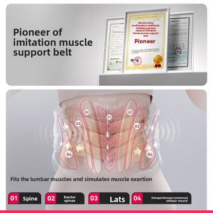 Starker Lendenwirbelstützgürtel und Taillenstütze zur Vorbeugung von Rückenschmerzen. - Product Image 3