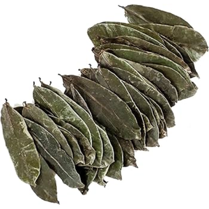 100% guanábana seca orgánica genuina hojas sueltas hierba graviloa fresca para bebidas naturales semillas de frutas almacenamiento congelado - Product Image 1