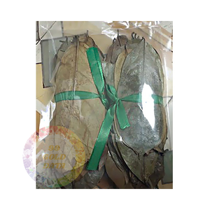 ใบ soursop สดสำหรับชาสมุนไพรและการเยียวยา-ใบ graviola คุณภาพสูงเพื่อสุขภาพตามธรรมชาติ - Product Image 5