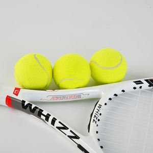 Padel Cricket Nature Yellow Green Color Pelota De Tenis Cricket Tennis De Basket Ball - Product Image 1