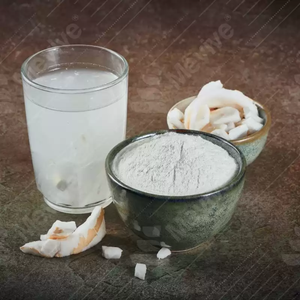 Polvo de Agua de Coco al por Mayor |   Agua de Coco Fresca Natural |   Fábrica en Vietnam - Product Image 4