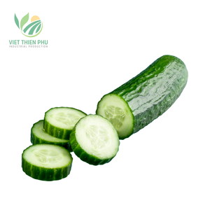 Dưa chuột với 100% tự nhiên từ Việt Nam, có sẵn để xuất khẩu với giá tốt nhất. - Product Image 1