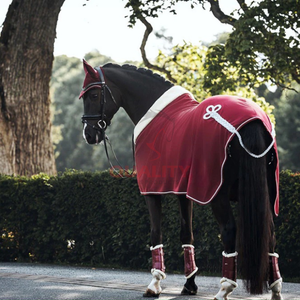 Couverture extérieure respirante de tapis de cheval imperméable de nouveau Style pour des chevaux avec des tapis/couvertures de cheval de couleurs personnalisées personnalisées - Product Image 6