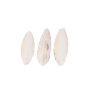 Suministro a granel de huesos de sepia enteros de primera calidad con vitaminas disponibles en cajas de estilos secos congelados frescos para aviarios - Product Image 5