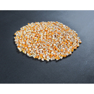 Maïs jaune sec brésilien en vrac, maïs jaune sec pour aliments pour animaux, vente en gros, Grain de maïs jaune brésilien - Product Image 5