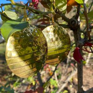 Collier de perles de sodalite naturelle, collier de perles rondes lisses en sodalite de 8mm, collier ras du cou en cristal fait main bijoux en perles - Product Image 1