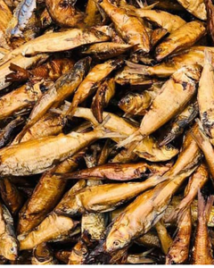 FOURNISSEUR DIRECT DE HARENG SÉCHÉ FOURNITURE EN VENTE EN GROS FIABLE - Product Image 6