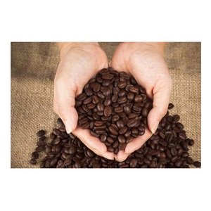 Café vert en gros avec des grains de café Robusta pour l'exportation - Product Image 6