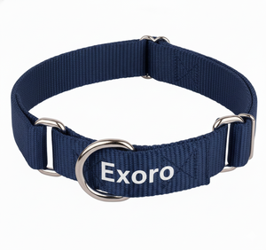 Collier d'entraînement pour chien en nylon double couche coloré, robuste, durable, réglable, léger, avec anneau en O et surpiqûres, vente en gros - Product Image 1