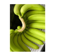 Bananas Verdes Cavendish Frescas de Alta Calidad, las Más Vendidas, en Cajas de Cartón de 4-5-6 Racimos, Directamente del Exportador de Vietnam