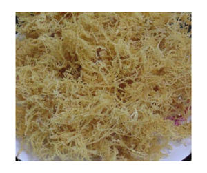 ธรรมชาติปลอดกลูเตนปราศจากกลูเตนปราศจากจีเอ็มโอบริสุทธิ์มอสทะเลแห้งแดด - Product Image 2