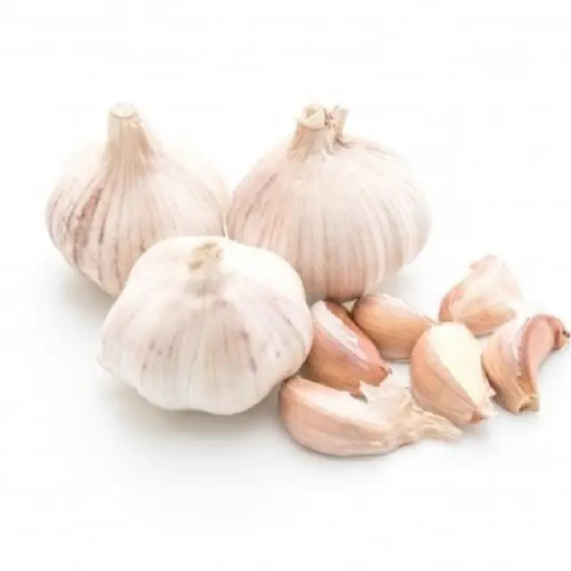 Grosir kualitas tinggi putih Normal bawang putih segar dengan harga murah produsen seluruh dunia ekspor di grosir