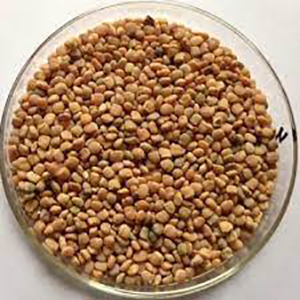 Natural Guar <strong>Seed</strong> for Commercial Use in Food <strong>and</strong> Textile Sectors Premium Agriculture Product Guar <strong>Seed</strong> - Product Image 6