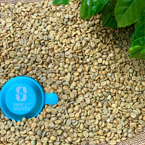 Especialidad 100% proceso de miel de grado natural granos de café verde Arábica cosechados a mano de suministro de fábrica de Vietnam para negocios - Product Image 3