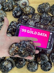 Conchas de mar de calidad superior de exportación para artesanía, fabricación de joyas, arte de resina y decoración del hogar, conchas de lapa a precio competitivo - Product Image 6