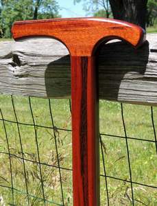 ASISTENTE CAMPING Bastón con múltiples nudos Bastón de madera fuerte para ancianos por Standard International - Product Image 4