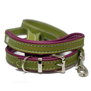 ปลอกคอสุนัขหนังบุอย่างดี ตกแต่งด้วยหมุด ดีไซน์เรียบหรู สำหรับสุนัขขนาดเล็กและใหญ่ ทนทาน ระบายอากาศได้ดี เป็นมิตรกับสิ่งแวดล้อม - Product Image 2