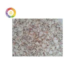 Cebolla roja deshidratada de alta pureza de Vietnam, suministro a granel para empresas de especias y alimentos - Product Image 1